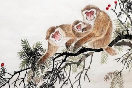 滴水不漏猜一生肖(滴水不漏猜一生肖数字)