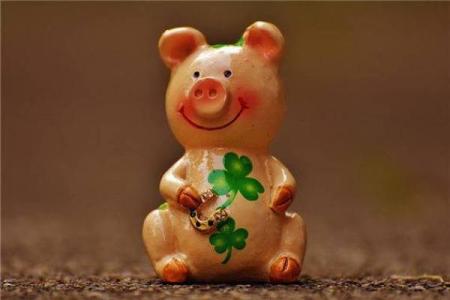 属猪2025年桃花劫遇真爱 2025属猪的烂桃花是谁