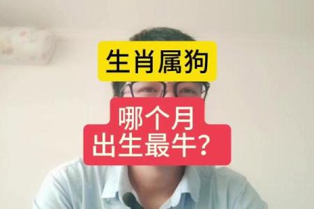 2025年82年属狗女运势解析财运事业感情全揭秘