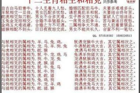 1994年1月出生属鸡还是属狗生肖划分详解