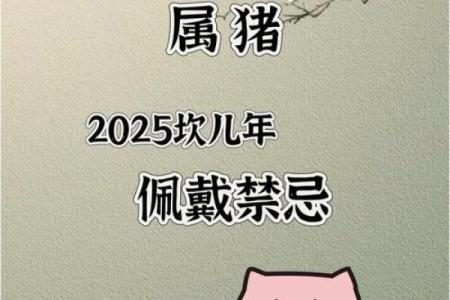 1971年2025年属猪人的全年运势 1971年属猪人2025年全年运势详解及预测