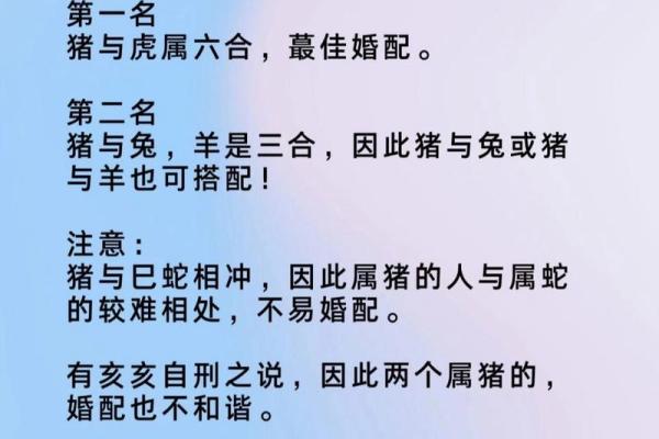 属蛇跟属猪的姻缘怎么样 属蛇的跟属猪的如果结婚会怎么样 属蛇跟属猪的姻缘怎么样 属蛇的跟属猪的如果结婚会怎么样