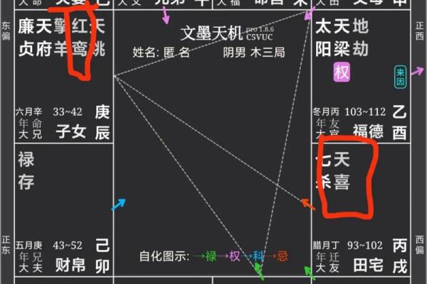 夫妻宫天相解析婚姻运势与命理奥秘