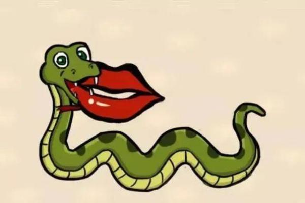 万无一失什么生肖