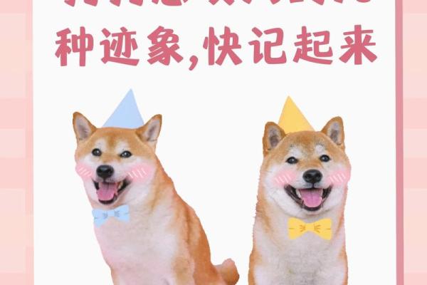 女人梦见狗咬自己是什么意思