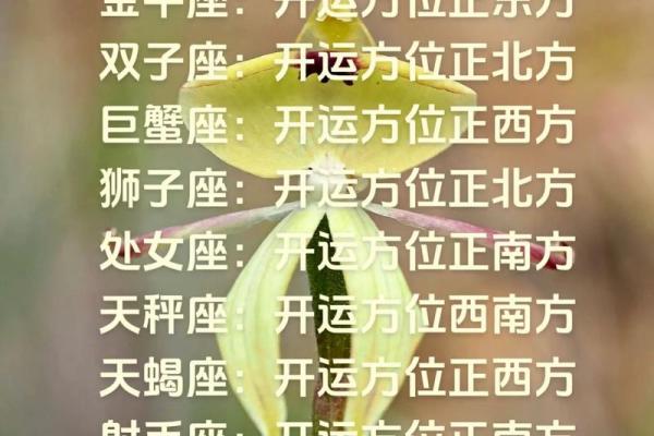 今日星座运势查询精准预测你的每日运程