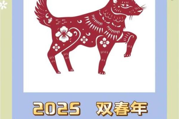 1982年属狗2025年运势详解事业财运健康全解析