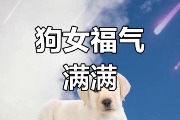 属狗女的命运怎么样_属狗的女生命运好不好