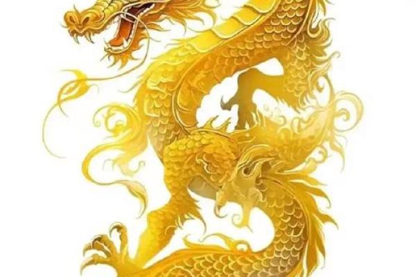 2025年属龙的运程_2025年属龙的运势及运程1988