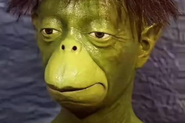 色中饿鬼是什么动物 色中饿鬼是什么动物