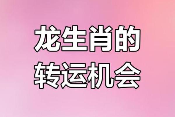 属龙人2025年运势及运程每月运程_属龙2025年全年运势