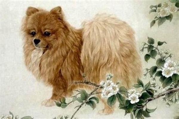 1958属狗的女命今年运势如何 1958年属狗女在2021年的运势