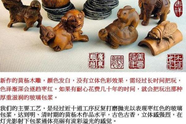 后院起火指什么生肖