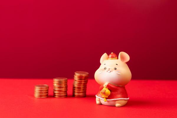 属猪2025年转运_2025年属猪人转运指南如何把握机遇迎接好运