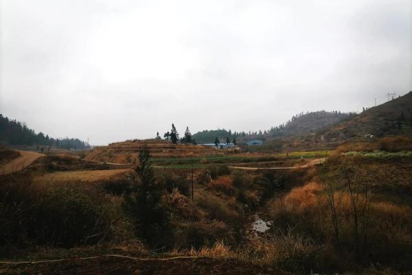 2021年4月宜动土