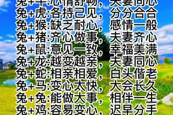 属兔的女孩2025年结婚日子是哪一天(2025年生肖兔)