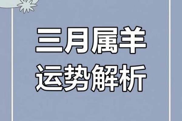 属羊今日运势每日运程_属羊今日运势解析每日运程大揭秘