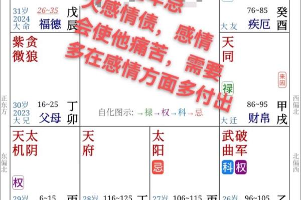 夫妻宫 太阳化忌 夫妻宫太阳化忌婚姻有实无名