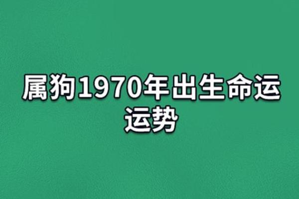 2025年1970年属狗男全年运势_70年属狗55岁大劫难