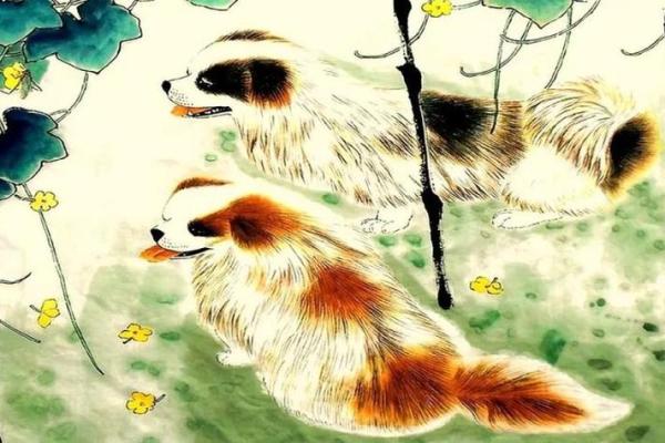 光明磊落是什么生肖(光明磊落是什么生肖或者什么数字)