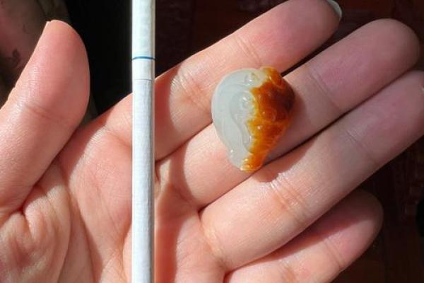 正儿八经是什么生肖(正儿八经的出处)