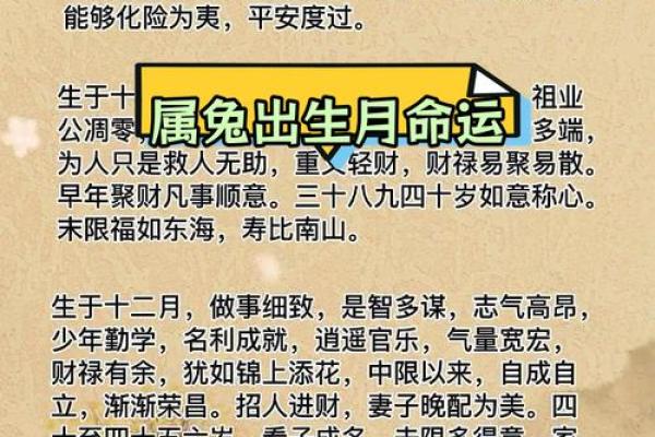 属兔是几年出生的 属兔是几年出生的揭秘属兔年份全解析