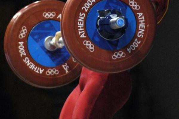 举重若轻是什么生肖(举重若轻打一个生肖动物)