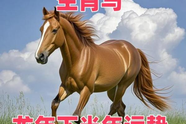 属马人2024年全年运势运程_2024年属马人运势全解析财运事业健康运程大揭秘