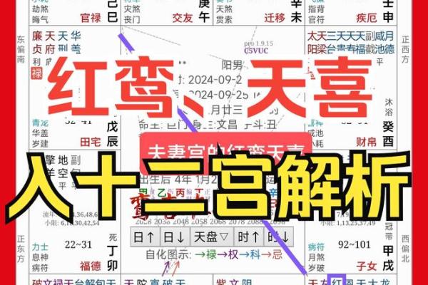 夫妻宫天魁旺_夫妻宫天魁旺揭秘婚姻幸福的风水奥秘