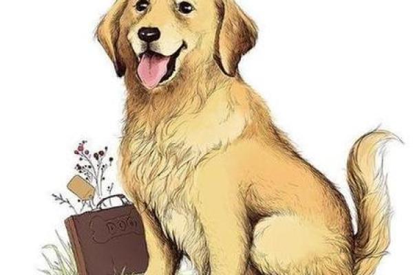 1970年属狗人2024年运势及运程_1970年属狗人2024年运势及运程周公解梦