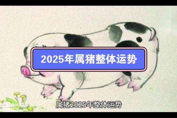属猪人2025年运势及运程_属猪人2025年运势及运程的风水解释