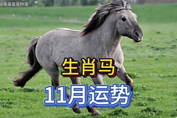 属马在2026年本命年运势如何 2026年属马本命年运势解析及注意事项