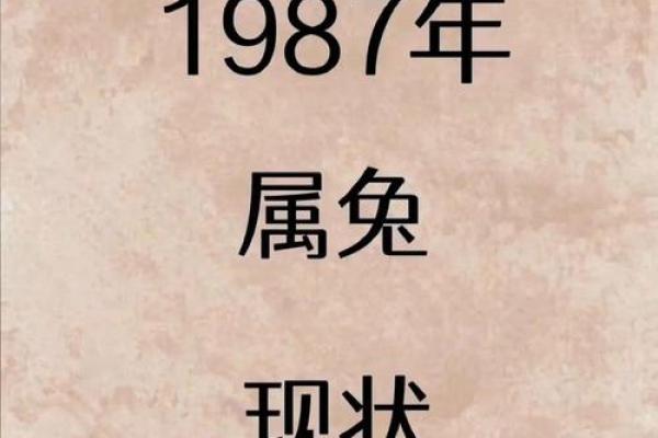 1987年兔2025年运势 1987年兔2025年运势怎么样
