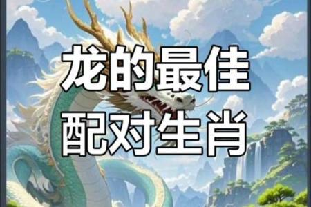 属龙2000年女上等婚配 00年属龙女金秋十月上等姻缘配对指南