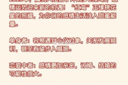 属狗2025年遇天喜 属狗2025年天喜星降临运势大爆发