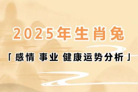 99年属兔2025运势_99年属兔到25岁的运势