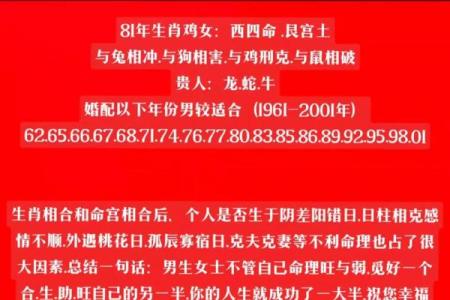 属鸡和属鸡的婚姻如何_属鸡和属鸡的婚姻如何化解