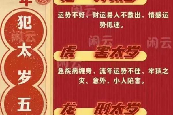 “鞭笞天下”打一准确生肖，鞭笞天下是什么生肖答案解释释义落实