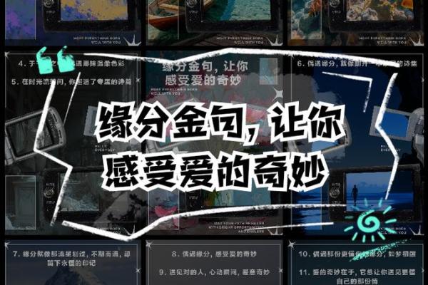 缘分吧 缘分吧揭秘命运中的奇妙相遇