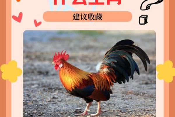 “暗侵肌骨丧三层”打一准确生肖，暗侵肌骨丧三层是指什么生肖答案解释释义落实