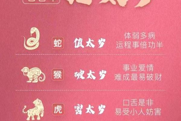 2025年属猪的人今年多大年龄计算与运势解析