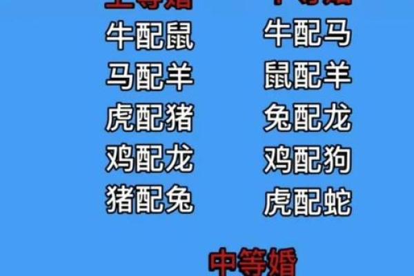 姻缘配对属相婚配表_属相婚配表姻缘配对指南助你找到最佳伴侣 姻缘配对属相婚配表_属相婚配表姻缘配对指南助你找到最佳伴侣