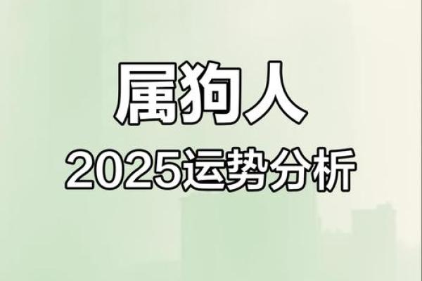 狗今年的运势如何2025 2025年狗年运势详解财运健康感情全解析