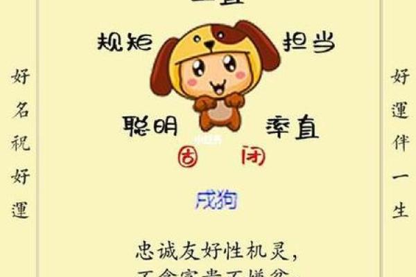 查命运出生年月日生辰八字解析与运势预测