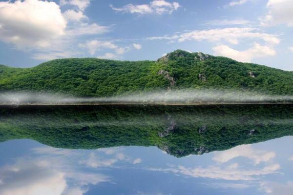 暗无天日打一生肖