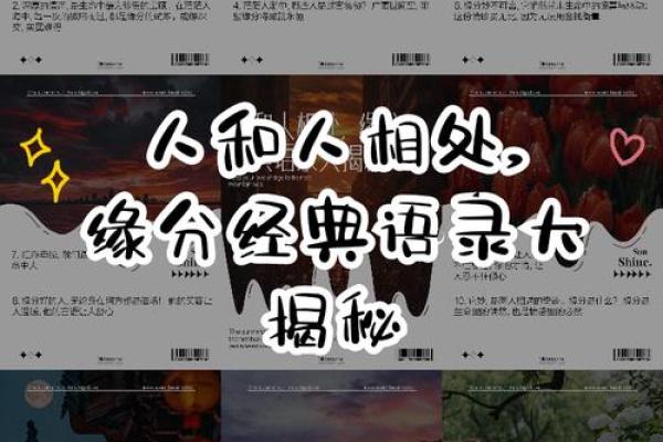 人与人之间的缘分_人与人相处的缘分