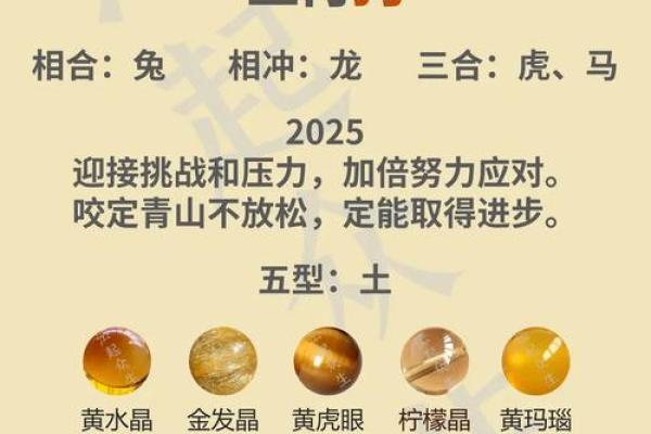 25年属狗适合什么颜色_2025属狗大忌颜色