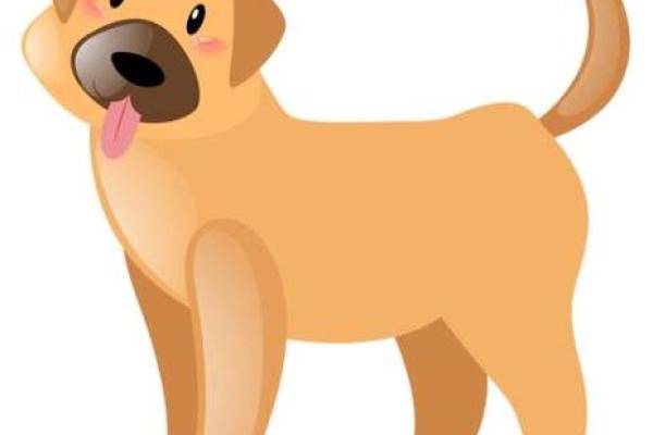 70年属狗55岁2025年运势解析命中注定的转折点