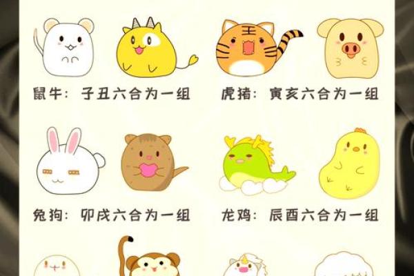 “七拼八凑”打一准确动物生肖，七拼八凑打一正确生肖答案解释释义落实
