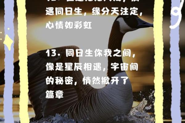 同年同月同日生的缘分_同年同月同日生的奇妙缘分命中注定的相遇